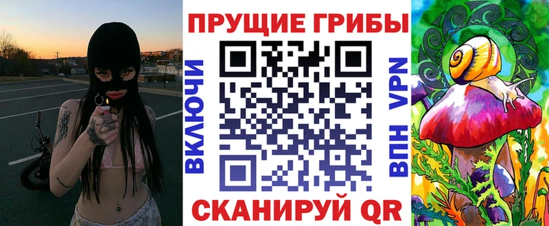Галлюциногенные грибы Psilocybe Пролетарск