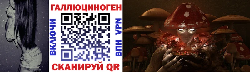 Галлюциногенные грибы MAGIC MUSHROOMS  цены наркотик  Пролетарск 