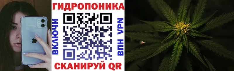 Канабис конопля  сайты даркнета официальный сайт  Пролетарск  закладка 
